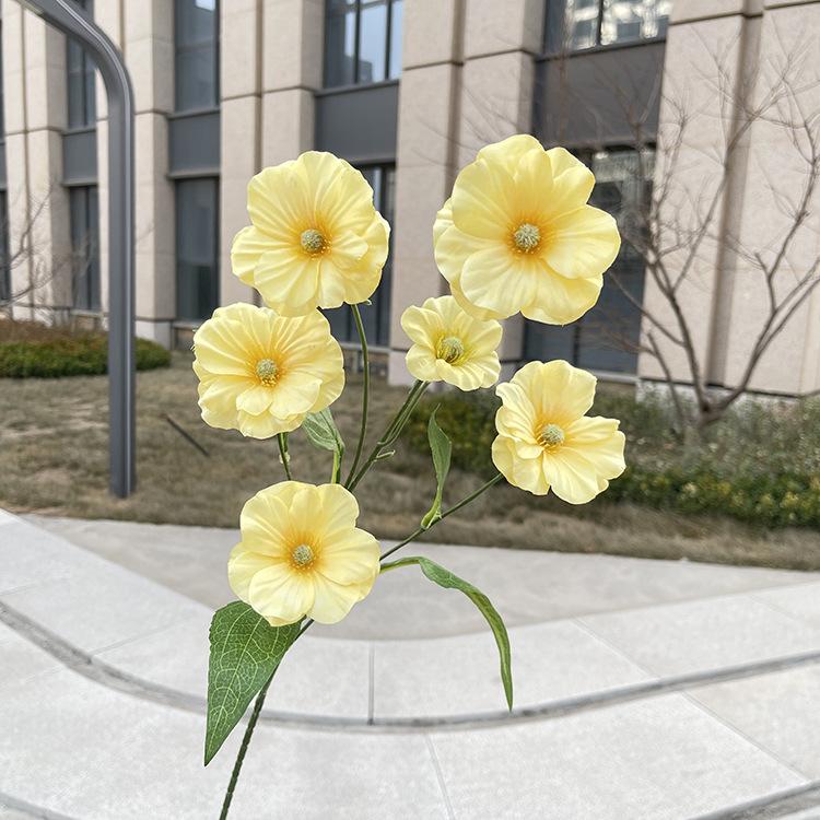 6头单支蝴蝶花-sxljlx-黄色.JPG
