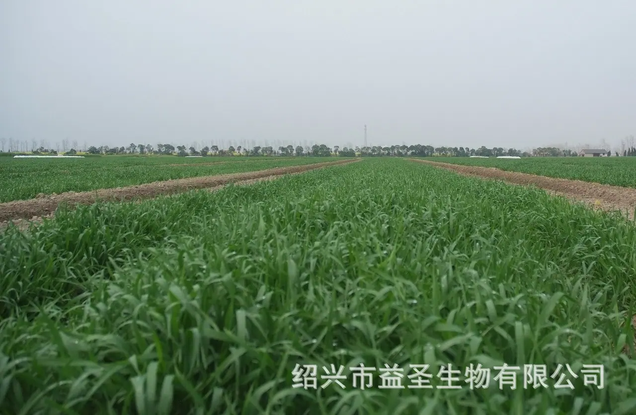 基地详.JPG