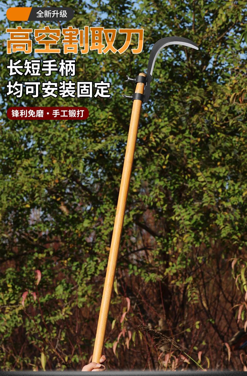 详情_01.jpg