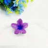 Pinza de Tiburón Flor de Plumeria Multicolor Degradada Pequeña de 4 cm Transfronteriza Estilo Dulce Festivo Pinza para el Cabello Accesorio para el Cabello Más Vendido en Amazon