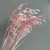 Kit de flores preservadas y secas con temática rosa: incluyendo gipsófila, y otras flores rosadas delicadas para hacer joyería DIY