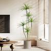 Planta Verde de Simulación Madera Milenaria Planta Falsa Lujo Ligero de Gama Alta Decoración de Interiores Árbol Sala de Estar Grande en Maceta Adornos de Piso