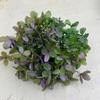 Pétalos de Flores Eternas de Alta Calidad, Hortensias de Madera en Forma de Torre, Varios Materiales Florales, Accesorios para Joyería de Bricolaje Precio por Gramo, Decoración de Encaje y Conservación