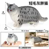 Traje de modelo de gato animal de simulación para niños, juego de gato, gatito, modelo de gatito blanco y negro, juguetes, adornos