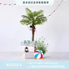 Cenário de Montagem de Evento com Tema de Verão Display de Loja em Shopping de Verão Decoração de Prancha de Surf Fundo de Decoração com Placa Kt