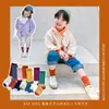 Z181 Calcetines Infantiles al por Mayor Primavera y Verano Calcetines Rayados de Combinación de Colores Simples Calcetines de Algodón de Moda para Niños y Niñas