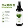 Agente Estimulante de Raíces para Orquídeas, Solución Nutritiva para Orquídeas Phalaenopsis, Promueve la Formación de Brotes, Estimula la Floración, Fortalece las Raíces, Promueve el Crecimiento de las Raíces y Fortalece las Plántulas y las Hojas