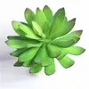 Planta suculenta de simulação em vaso 3D fundo de parede de plantas combinação porta-retrato flor de plástico decorativa tropical atacado