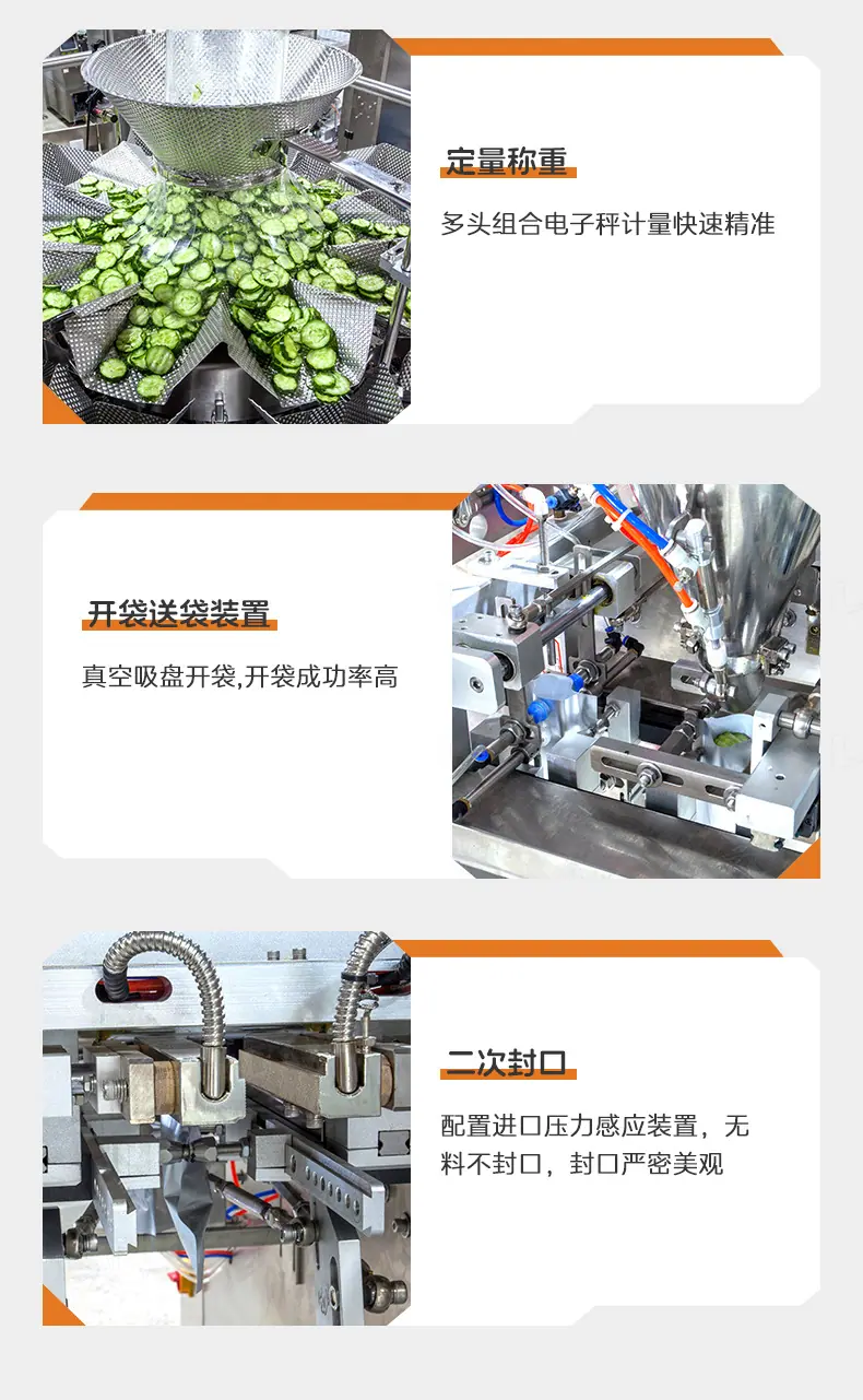 LDSP-160A水平给袋机(钢印打码+裙边提升机+10头1