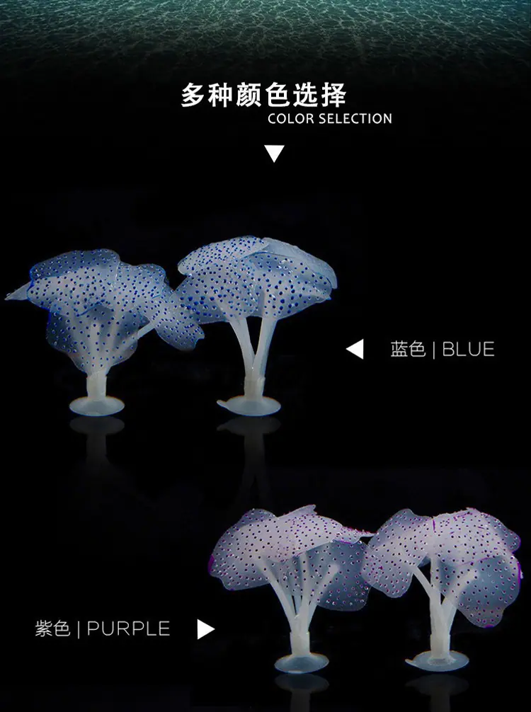 750详情_02