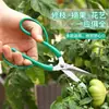 Tijeras de podar para ramas, Tijeras de podar florales, Tijeras de acero inoxidable para recolectar fruta en el jardín, Tijeras de podar, Tijeras para ramas, Tijeras para flores