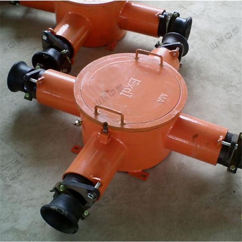 155215637008763353586653928224