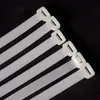 Cinchos de Nylon de Colores con Cierre Automático para Uso Industrial, de Jardinería y Doméstico, Cuerdas de Sujeción Fuertes, Venta al por Mayor y al por Menor por Fabricante, Productos de Venta Caliente Transfronterizos