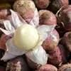 Alho seco fresco de casca roxa com uma única cabeça, originário de Yunnan, alho picante Red Pearl, vegetais da estação, 2,5 kg