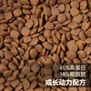 Comida para Gatos al por Mayor con 25%-45% de Proteína, Adecuada para Todas las Etapas, Procesamiento con Etiqueta Privada OEM, para Hogares con Múltiples Gatos y Gatineras, 20 kg