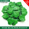 Hoja de Potos flor artificial vid hojas de vid vid de uva decoración de tubo de techo vid plantas verdes de plástico cubriendo enredadera