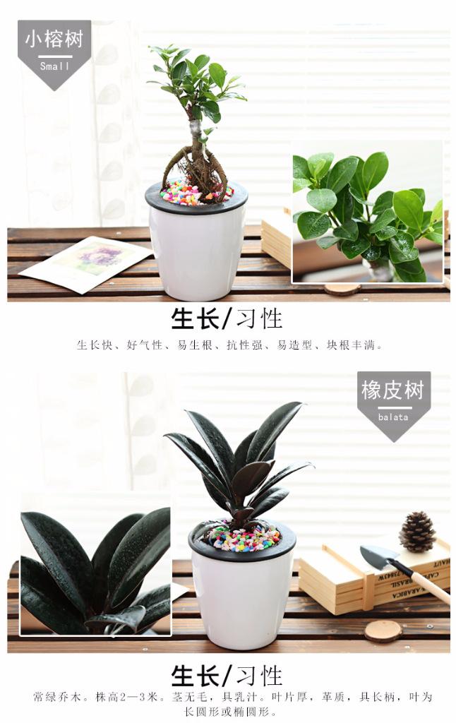 璇︾粏8