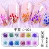 Arte de Uñas Nuevo Flor Seca Joyería para Uñas Planta Natural Flor Seca Decoración DIY Narciso Gipsófila Encaje Púrpura Girasol