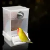 Comedero Automático para Pájaros Contenedor de Comida para Loros Bebedero Colgante para Periquitos