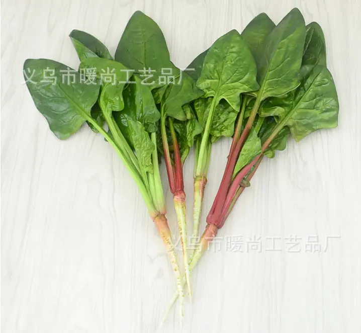菠菜1