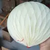 Lanternas Decorativas de Pilar em Forma de Bola de Favo de Mel Transfronteiriças para Casamentos, Celebrações de Aniversário, Quartos de Noiva, Decorações Festivas de Fundo para Feriados Venda por Atacado