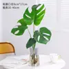 Planta Hidropônica Monstera Planta Verde Purificação do Ar Interno Ave do Paraíso Folha Grande Folhagem Perene de Interior Vaso Tronco Velho