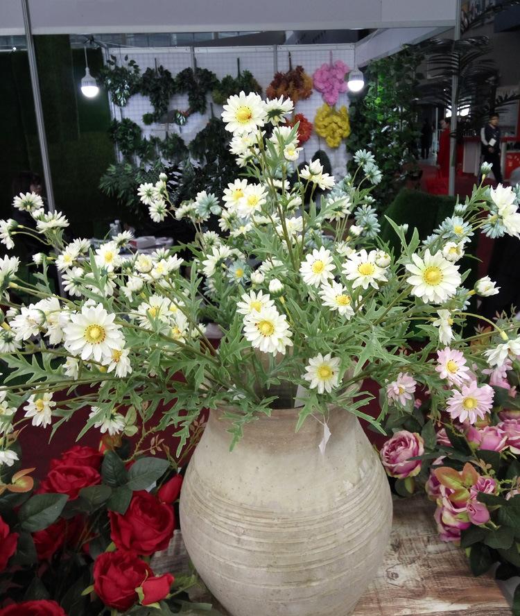 丁香菊21 (2).jpg