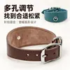 Coleira de couro para animais de estimação, coleira larga para cães, coleira de couro genuíno para spaniels, com um laço para prender plaquinhas, coleira para passear com o cão, coleira lisa para DIY