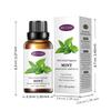 Aceite Esencial Inglés Completo Aceite Esencial Exportación Transfronteriza Difusor Sin Fuego Interior Soluble en Agua Aromaterapia Aceite Esencial