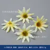 Flores Artificiais Cor de Champanhe, Arranjos de Flores de Seda, Acessórios de Cabelo, Acessórios para Prendedores de Cabelo, Materiais para DIY, Decorações de Cena Feitas à Mão, Cravos