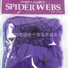 Decoración de Halloween, cámara, casa embrujada, telaraña de terror, seda, 20 g, algodón de araña, 2 arañas, 5 colores, suministro directo de fábrica