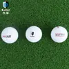 Pelota Caiton Golf de Dos Capas para Distancia Extrema con Núcleo de Alta Elasticidad, Pelota de Golf de Larga Distancia, Logo Personalizable