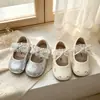 Zapatos Mary Jane bordados, dulces y bonitos, para niñas, nueva colección primavera/otoño 2026, suela suave, con malla y diseño estilo princesa, versátiles zapatos de piel
