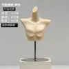 Nuevo Modelo de Lámpara Caja de Lámpara Ropa Moldeadora Maniquí para Ropa Accesorios Maniquí de Exhibición de Torso Femenino Luminoso Soporte de Maniquí