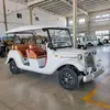 Coche Clásico Eléctrico de Paseo para 6-8 Asientos Vehículo de Paseo de Cuatro Ruedas Atracción Turística Autobús Lanzadera de Hotel Vehículo de Conexión para Paseo