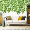 Rábano Verde, Hojas de Camote, Hiedra Trepadora, Bestseller Transfronterizo en Amazon Temu/Shein, Etiquetado y Dropshipping 2.1
