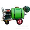 Pulverizador Elétrico de Alta Pressão de 160 Litros para Árvores Frutíferas, Jardins e Viveiros, Pulverizador Tipo Empurrar Manual de 48V