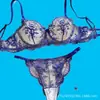 2024 Más Vendido Comercio Exterior Bordado Floral Malla Transparente Sexy Cómodo Acolchado Simple y Elegante Conjunto de Lencería