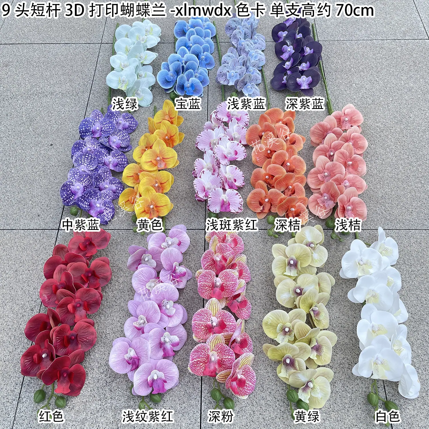 9头短杆3D打印蝴蝶兰-xlmwdx 色卡 花溪谷.jpg