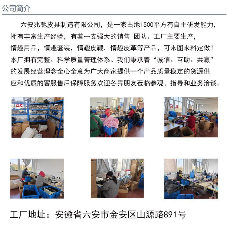 公司介绍