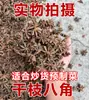 Especiaria de Anis Estrelado, Anis Estrelado Seco, Pó de Anis Estrelado Comercial, Sem Enxofre, Especiaria de Anis Estrelado Defumado de Guangxi Atacado