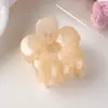 Pinza para el pelo de garra hueca color gel estilo coreano, pinza de tiburón acrílica, pinza para recogido en la parte trasera de la cabeza, accesorio para el pelo semi-recogido