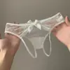 Calcinha de renda francesa vazada em formato de triângulo, um estilo puro e sensual, projetada para mulheres jovens, disponível em tamanhos grandes e com design de entrepernas aberta.