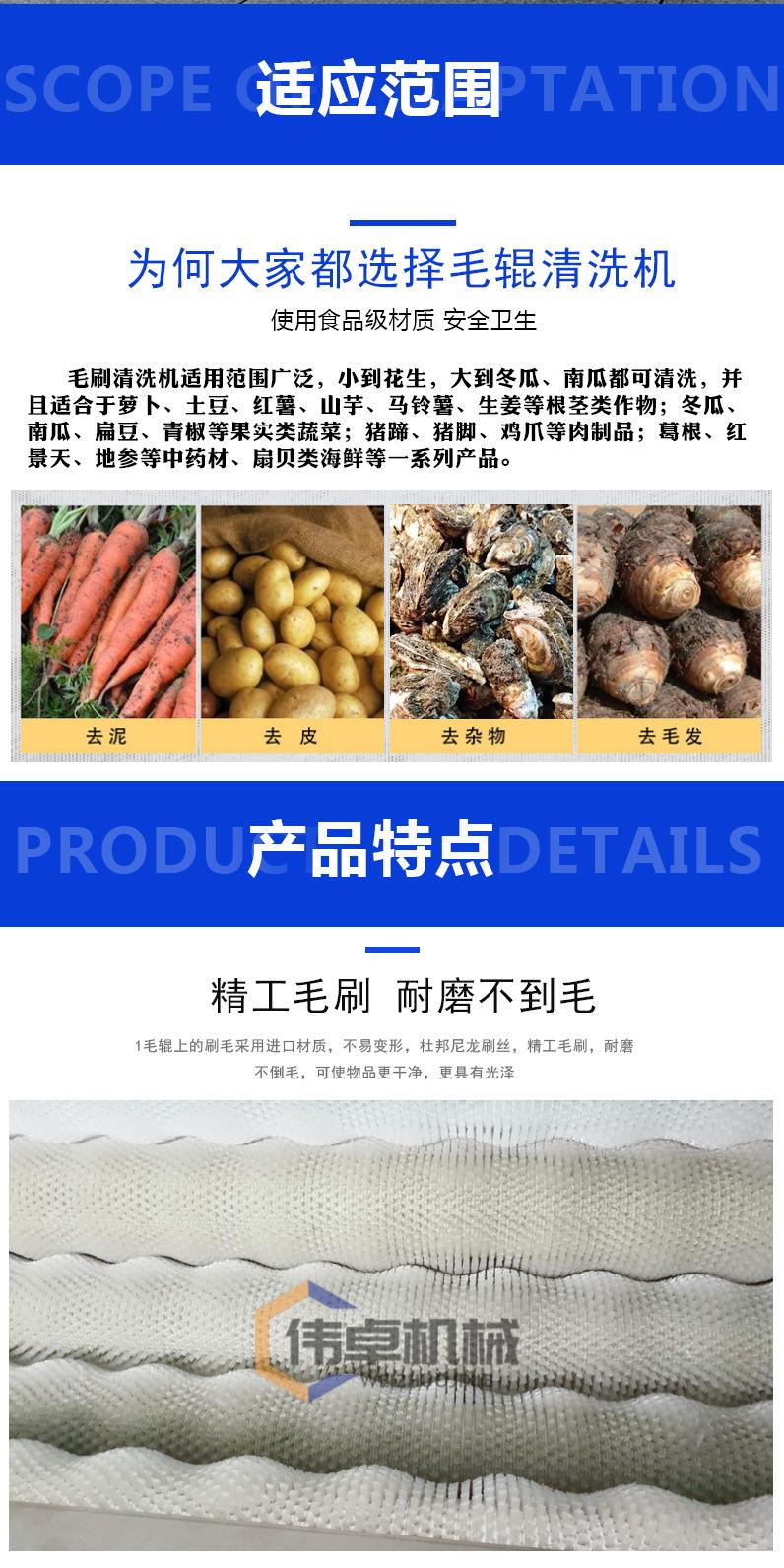 毛辊_02.jpg