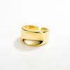 Anillo Minimalista Europeo y Americano Combinable de Moda Celebridad de Internet Plata Esterlina S925 Grueso Industria Pesada Anillo Nicho INS Japonés y Coreano Dedo Índice