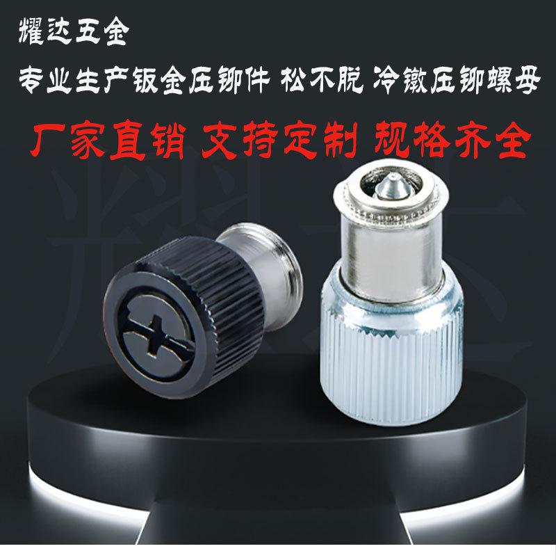 YD11弹簧螺钉_01.jpg