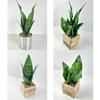 Vaso de Flor de Orquídea Tigre Simulada Estilo Moderno Simples Planta Verde Simulada Planta Bonsai Pequena em Vaso Artificial de Mesa Orquídea Tigre