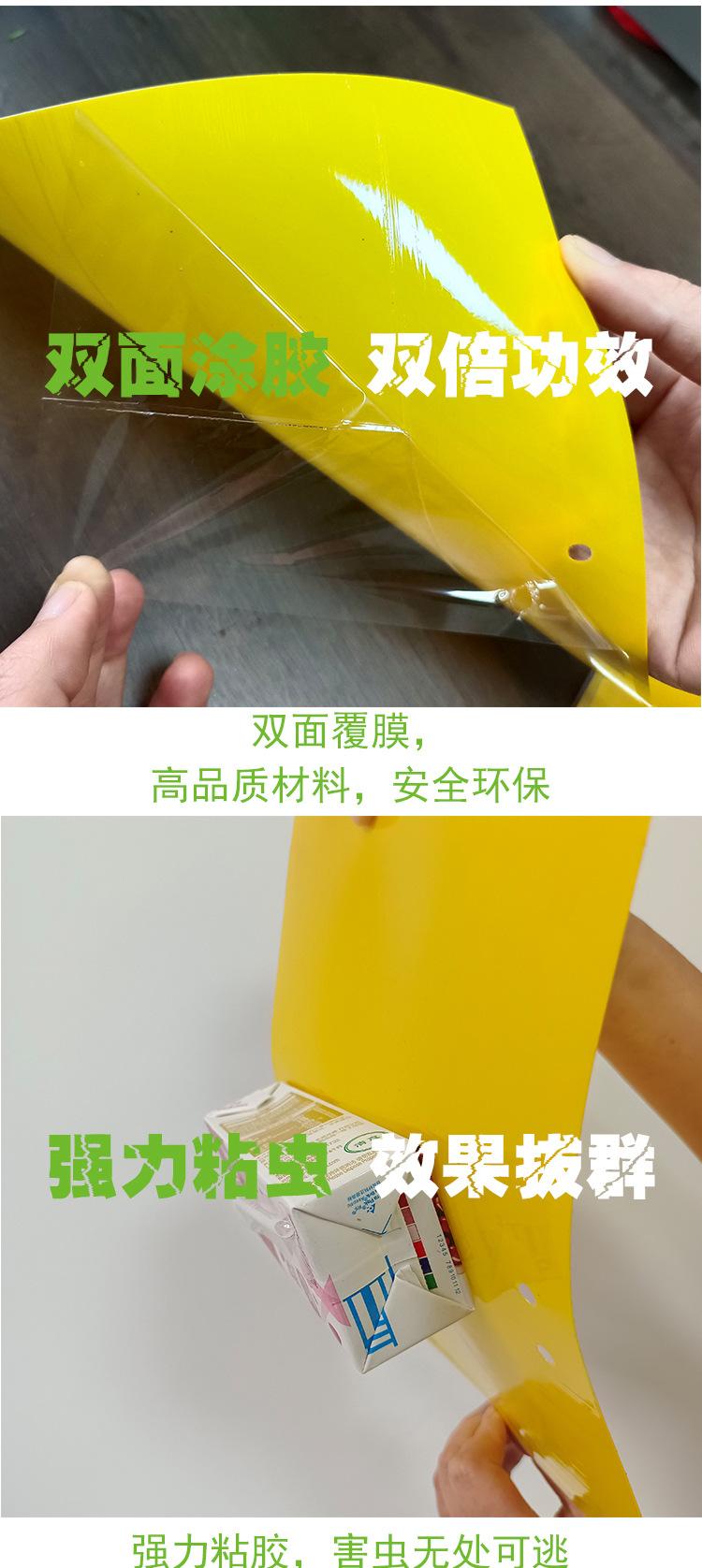 黄板详情图_03.jpg