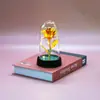 Pequeno Ornamento de Flor Rosa Dourada Colorida para Iluminação Noturna, Decoração Criativa de Mesa para Iluminação Noturna, Decoração para Casa Atacado