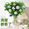 Planta de Jazmín Hidropónica en Maceta Flores Cortadas Frescas Base de Yunnan Envío Directo Arreglo Floral para el Hogar Planta Verde de Interior Florece Cuatro Estaciones